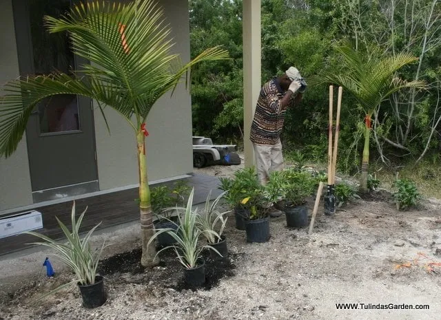 Professional landscaping services in Cocoa, FL - Tulinda's Garden
