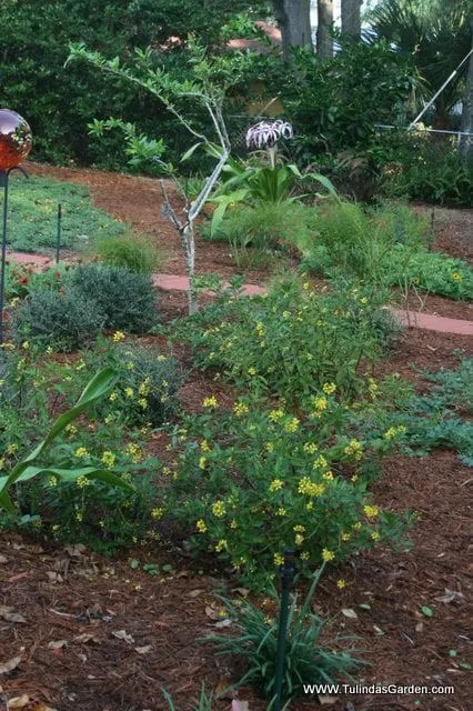 Local landscape design near you in Cocoa, FL by Tulinda's Garden