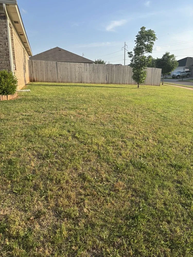 Affordable residential landscaping experts serving Norman, OK - Tulio’s Yardwork