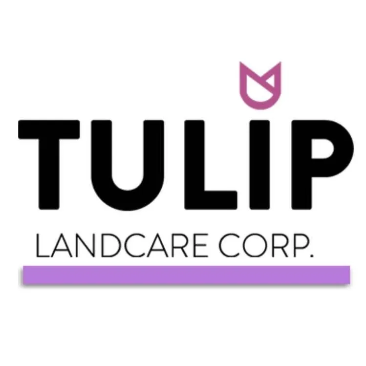 Reliable yard cleanup service experts serving Ladera Ranch, CA - Tulip Landcare Corp