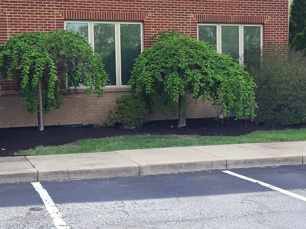 Professional landscape design for homes across Dayton, OH - Tullis Property Maintenance