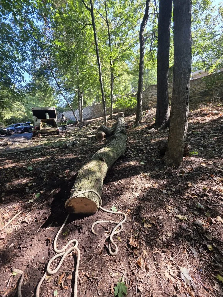 Reliable lawn mowing service experts serving Dayton, OH - Tullis Property Maintenance