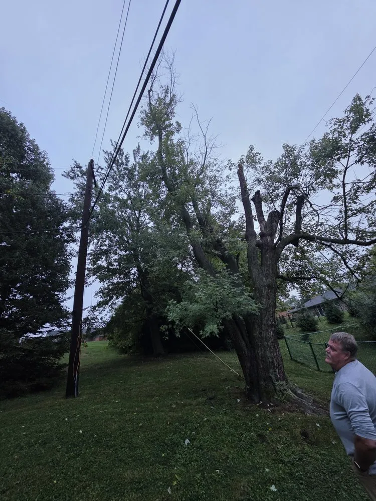 Affordable yard maintenance experts serving Dayton, OH - Tullis Property Maintenance