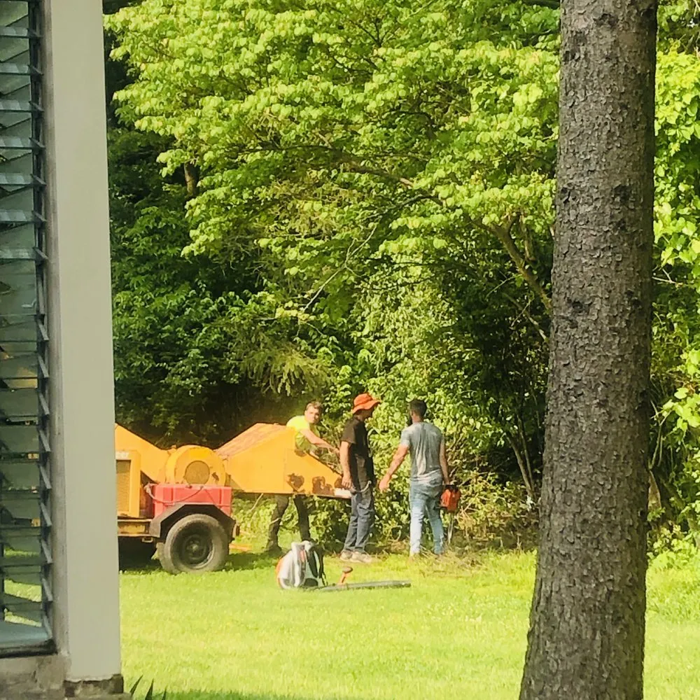 Trusted lawn care service in Dayton, OH by Tullis Property Maintenance