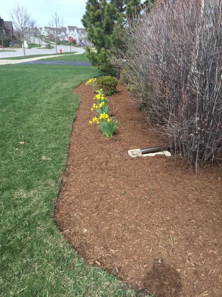 Professional landscaping services for outdoor upgrades across Elgin, IL - Tully Property Maintenance