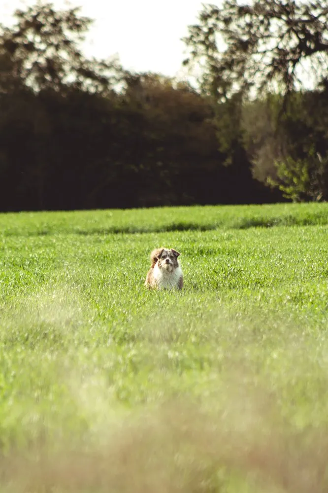 Professional garden landscaping for homes in Tulsa, OK by Tulsa Lawn Care Services