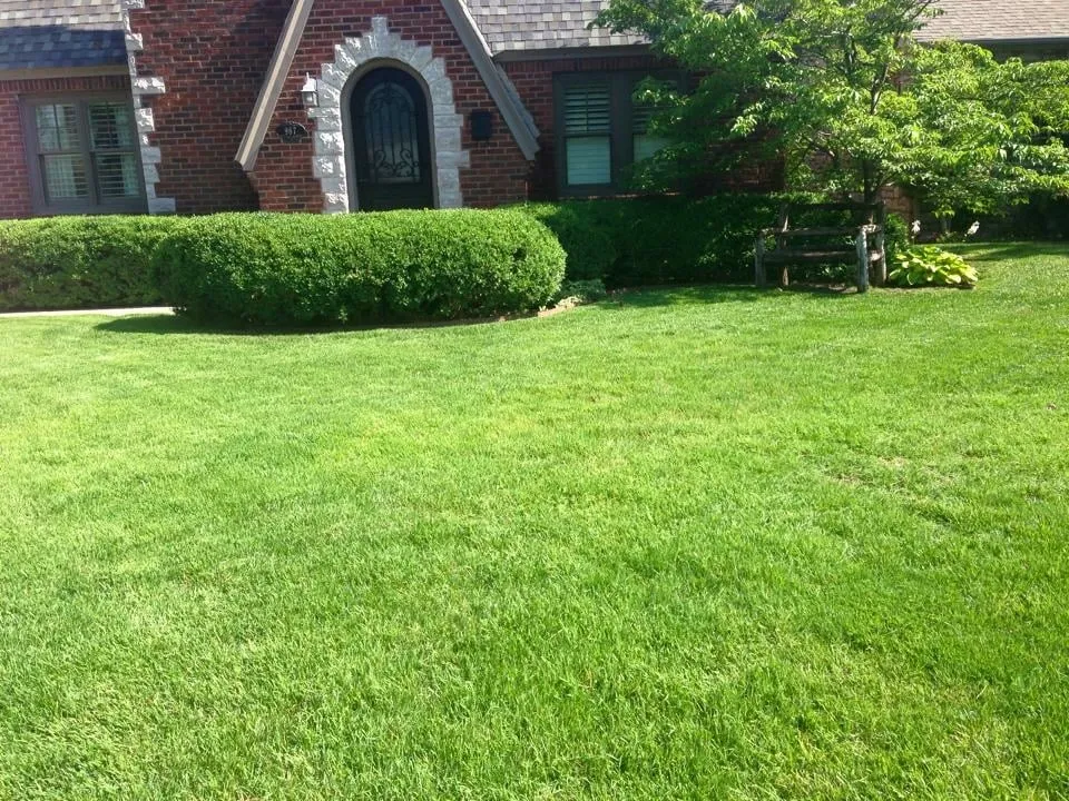Custom yard maintenance in Tulsa, OK - Tulsa Lawn Services