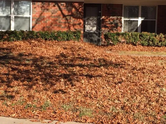 Tulsa Lawn Services Logo