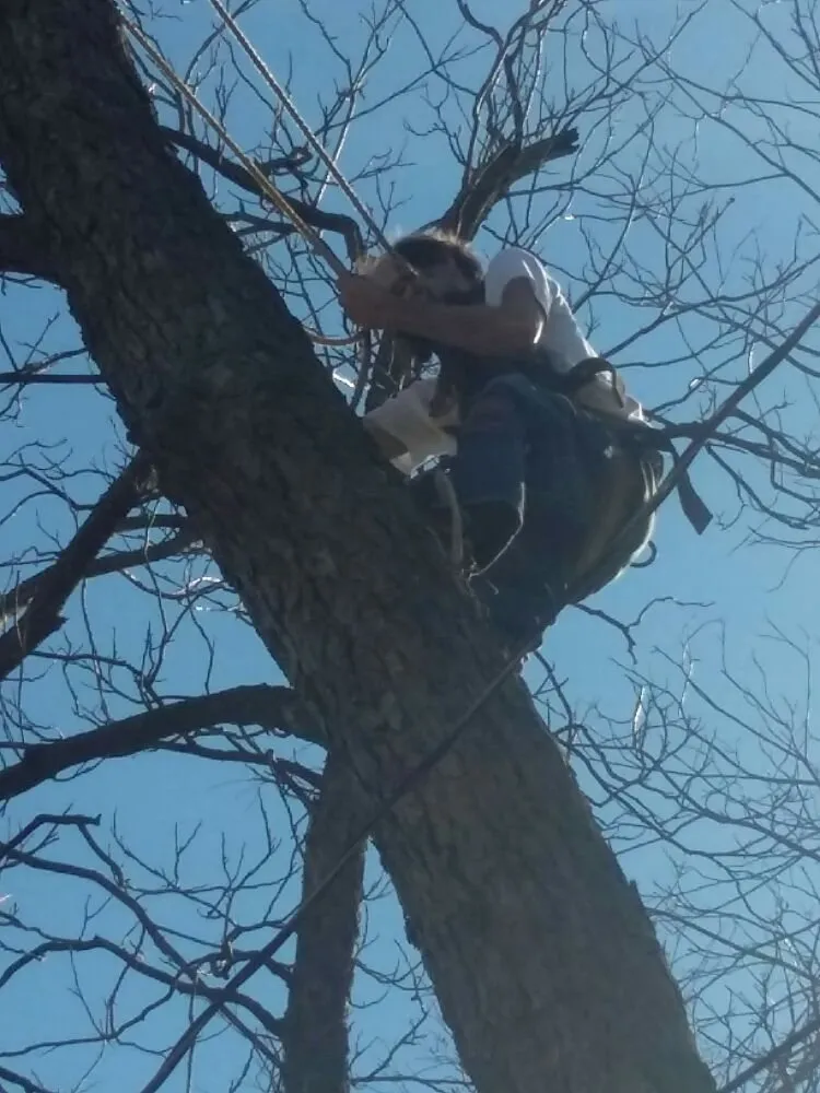 Professional landscape design for homes in Chelsea, OK by Tulsa Tree & Lawn