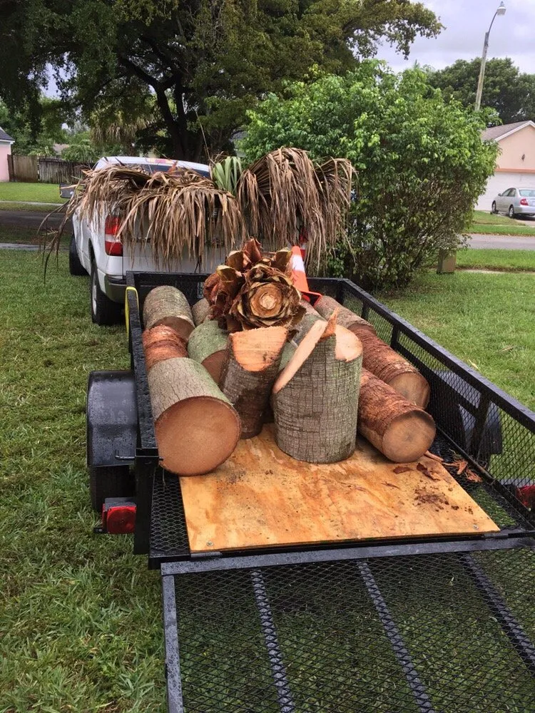 Local landscaping services experts serving Sunrise, FL - TuLu Lawn Care