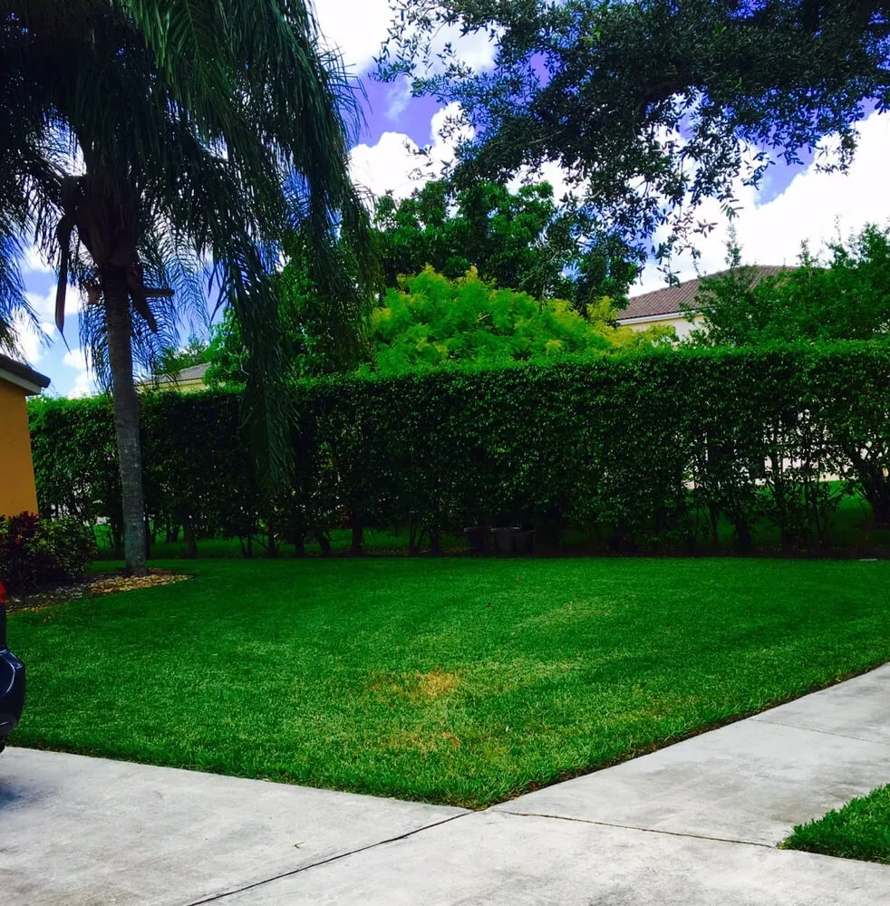 Custom landscaping services for outdoor upgrades in Sunrise, FL by TuLu Lawn Care