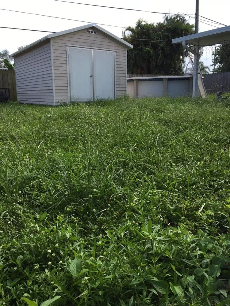 Expert residential landscaping for year-round maintenance across Sunrise, FL - TuLu Lawn Care