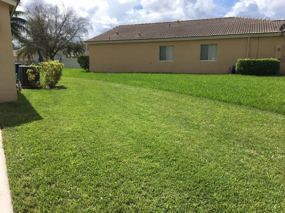 Top-rated outdoor landscaping in Sunrise, FL - TuLu Lawn Care