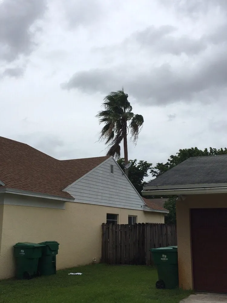 Professional lawn mowing service with custom design across Sunrise, FL - TuLu Lawn Care