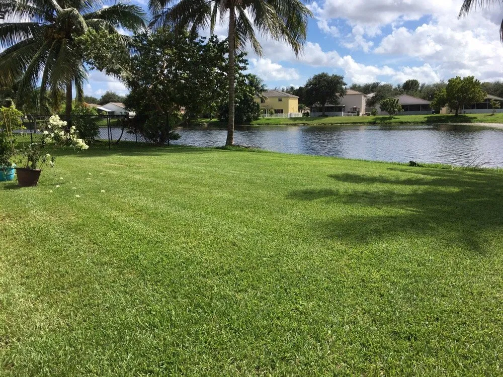 Expert garden landscaping for year-round maintenance across Sunrise, FL - TuLu Lawn Care