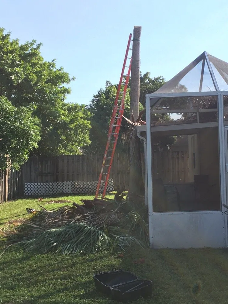 Affordable landscaping services in Sunrise, FL - TuLu Lawn Care