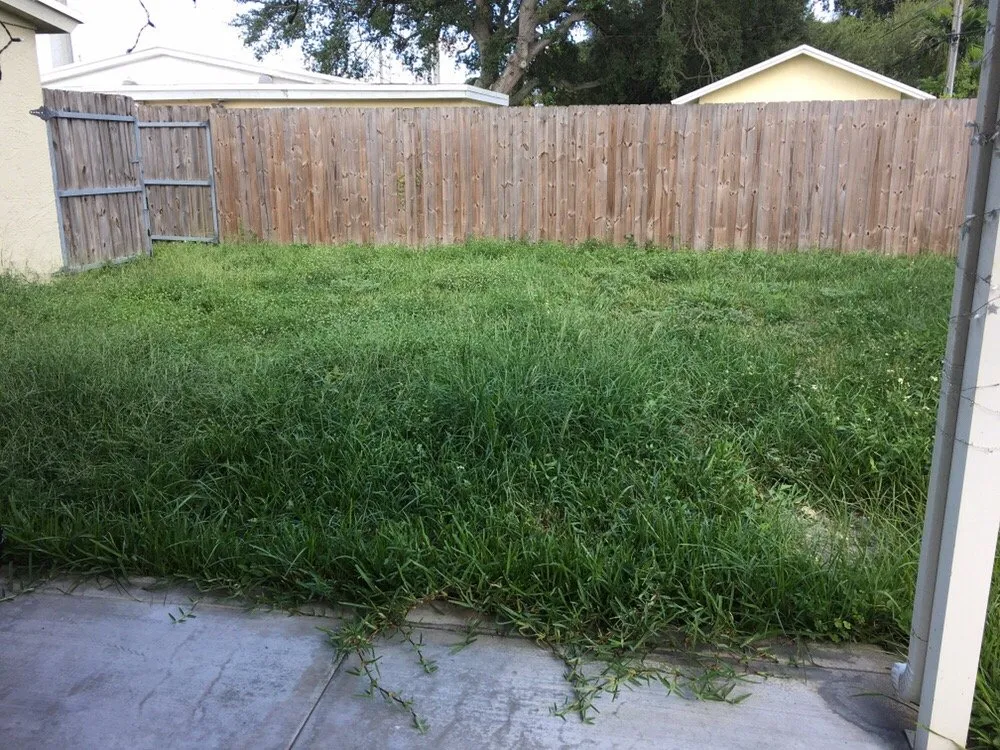 Local yard cleanup service near you in Sunrise, FL by TuLu Lawn Care