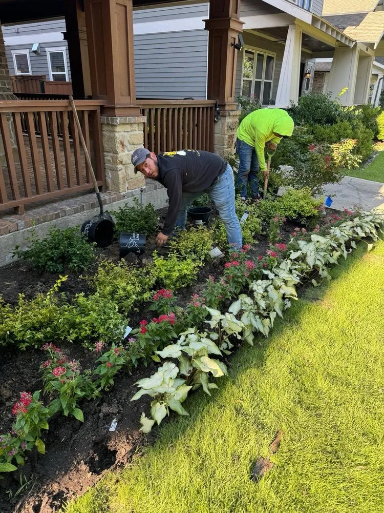 Reliable outdoor landscaping near you in Dallas, TX by Tulum Landscape