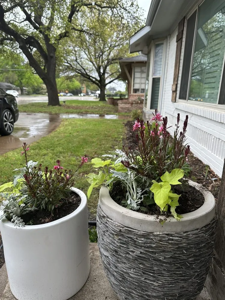 Professional garden landscaping for year-round maintenance in Dallas, TX by Tulum Landscape