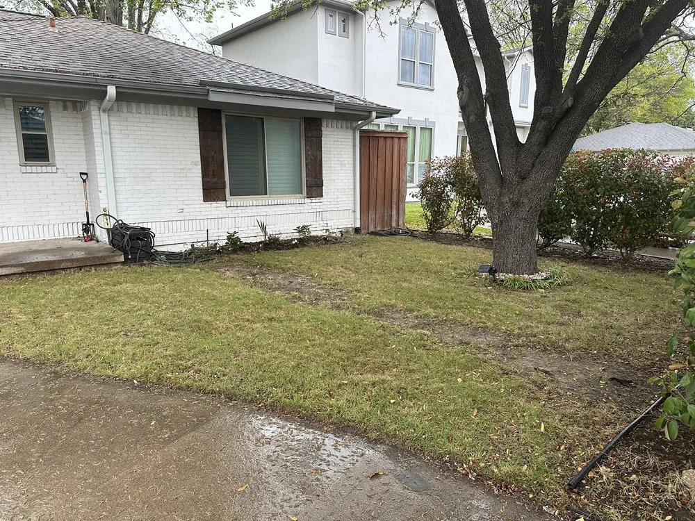 Trusted yard cleanup service experts serving Dallas, TX - Tulum Landscape