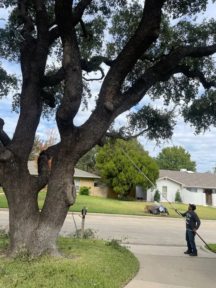 Affordable landscaping services in Dallas, TX - Tulum Landscape