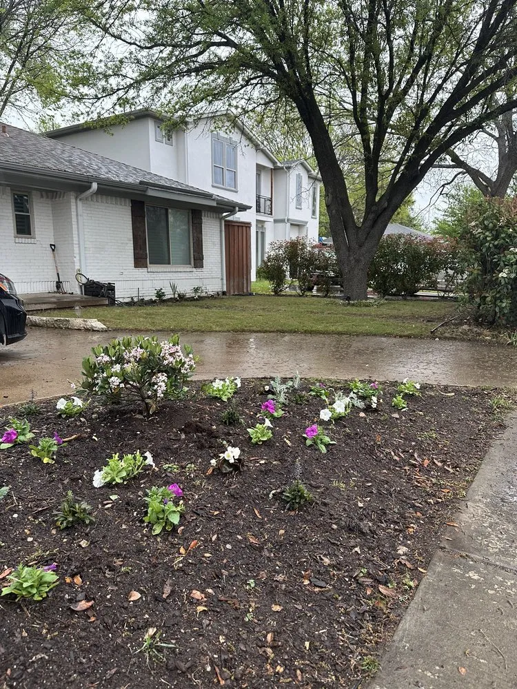 Professional landscape installation for beautiful yards in Dallas, TX by Tulum Landscape