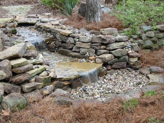 Professional yard cleanup service experts serving Brandon, MS - Tumbaloo Creek Self Storage