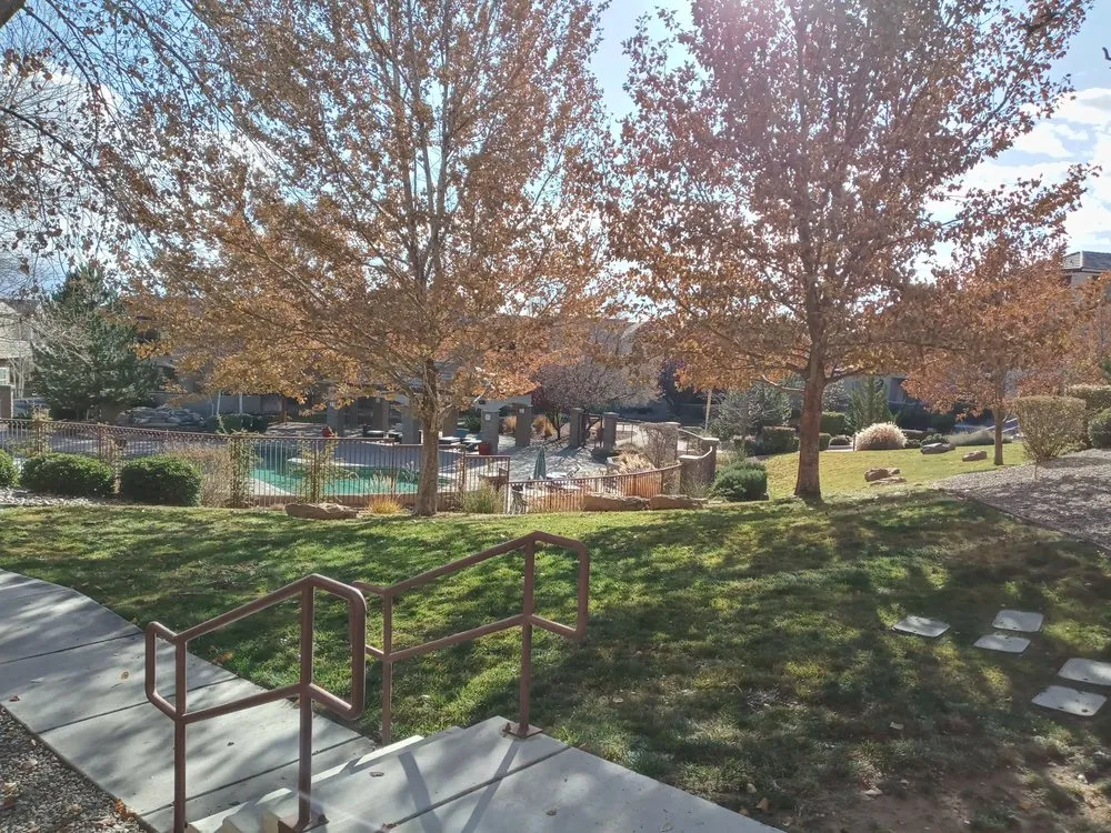 Expert yard maintenance experts serving Albuquerque, NM - Tumble-Tumbleweed Resources