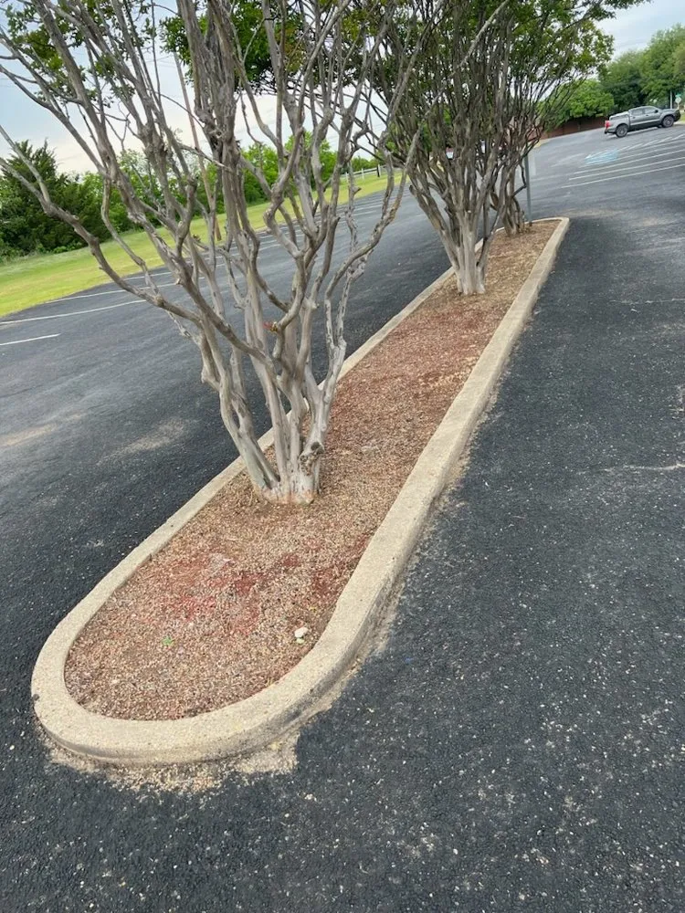 Professional garden landscaping for beautiful yards across Waxahachie, TX - Tumbleweed Lawnscaping