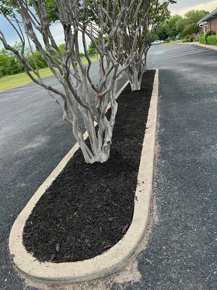 Custom yard cleanup service experts serving Waxahachie, TX - Tumbleweed Lawnscaping