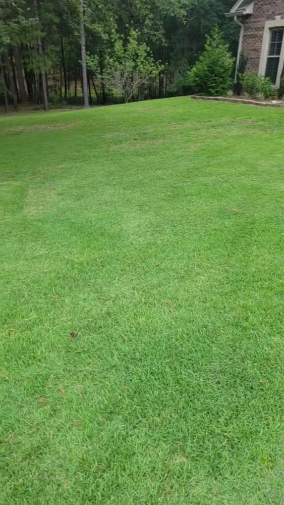 Custom outdoor landscaping for homes across Purvis, MS - Tumey Lawn Care