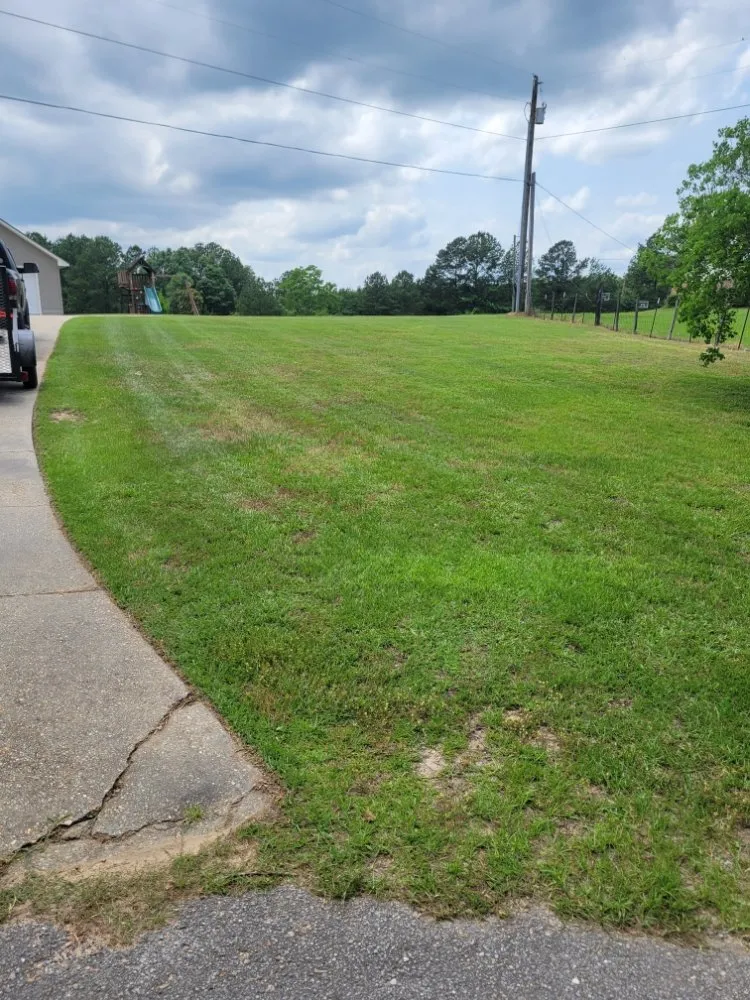 Affordable outdoor landscaping for year-round maintenance in Purvis, MS by Tumey Lawn Care