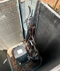 Expert landscaping services with custom design across Beaumont, TX - Tumils Lawn and Landscaping