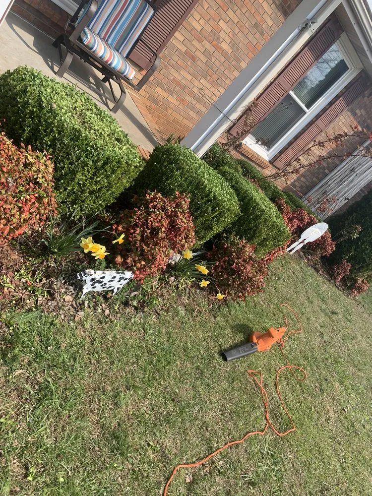 Top-rated lawn mowing service for residential properties across Clarksville, TN - Tuna's Lawn Service