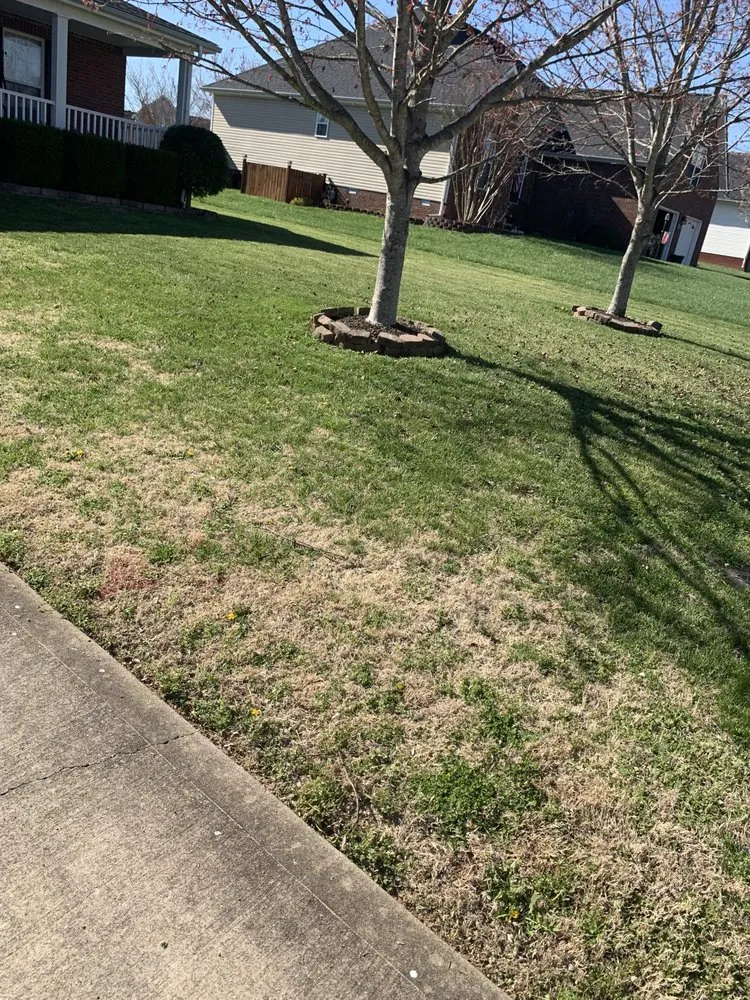 Professional outdoor landscaping for residential properties in Clarksville, TN by Tuna's Lawn Service