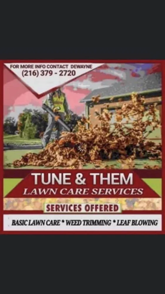 Local yard maintenance in Maple Heights, OH - Tune & them lawn care service