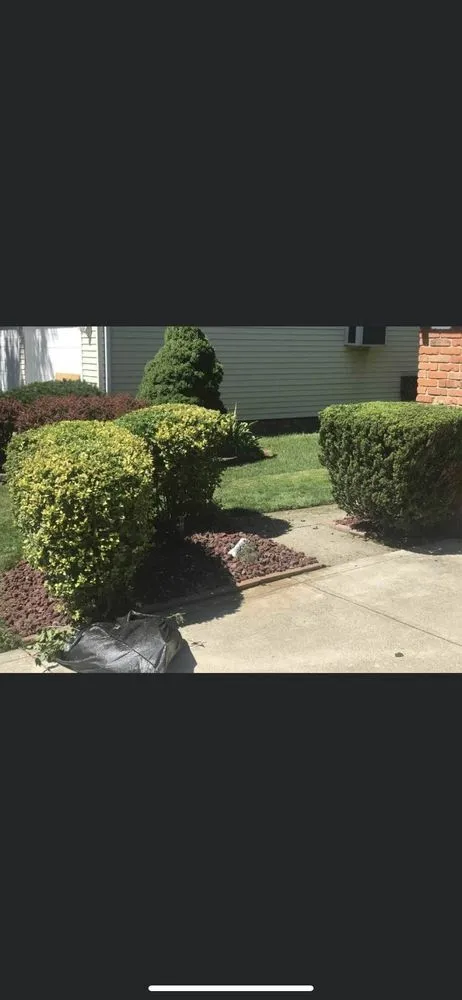 Custom yard cleanup service in Maple Heights, OH - Tune & them lawn care service