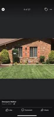 Tune & them lawn care service