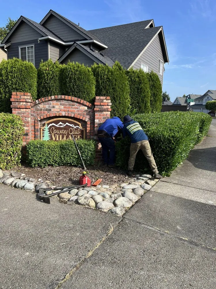 Top-rated yard cleanup service in Puyallup, WA - Tung Nguyen Landscaping