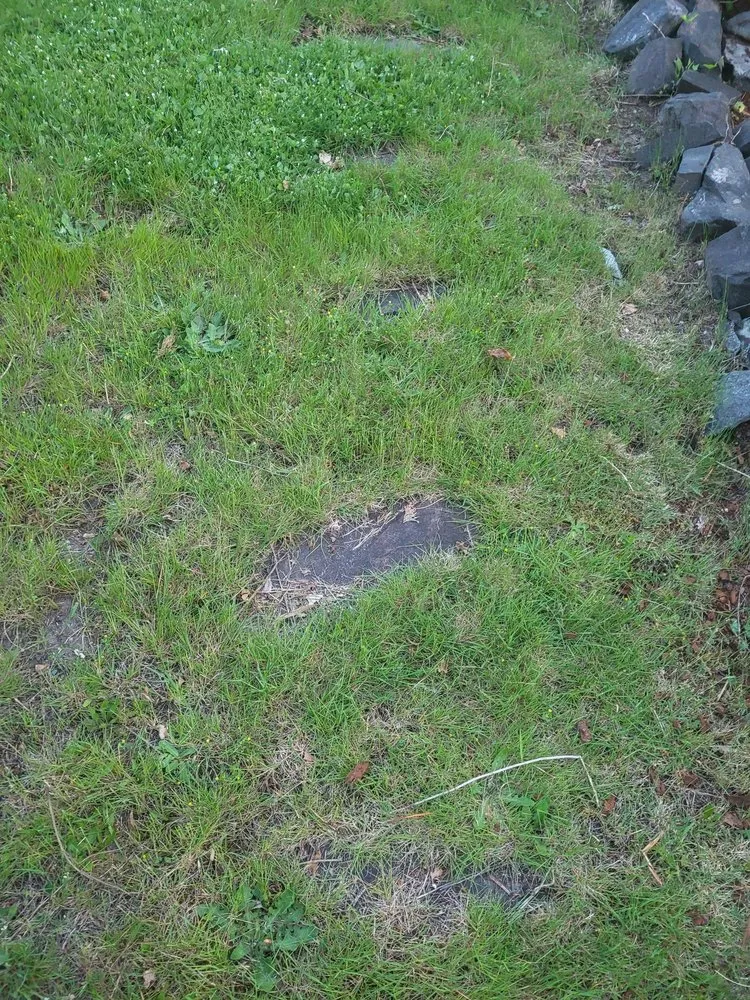 Reliable landscape design for beautiful yards across Puyallup, WA - Tung Nguyen Landscaping