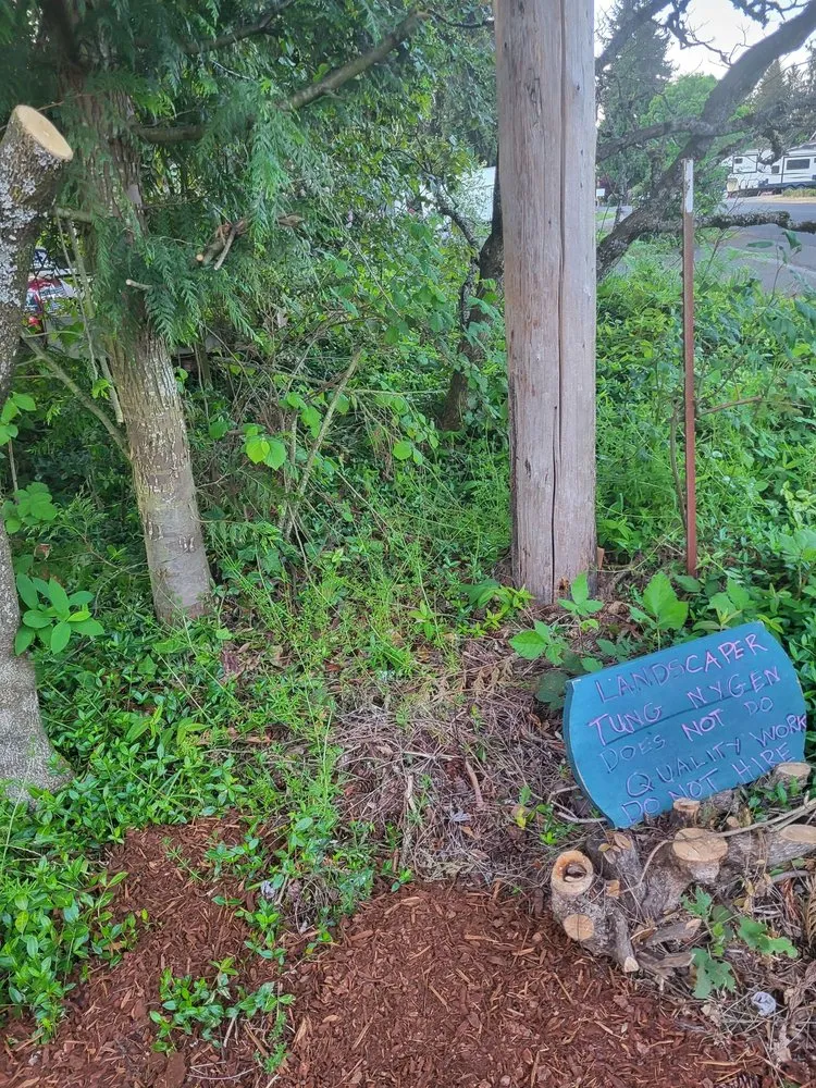 Trusted yard cleanup service for beautiful yards in Puyallup, WA by Tung Nguyen Landscaping