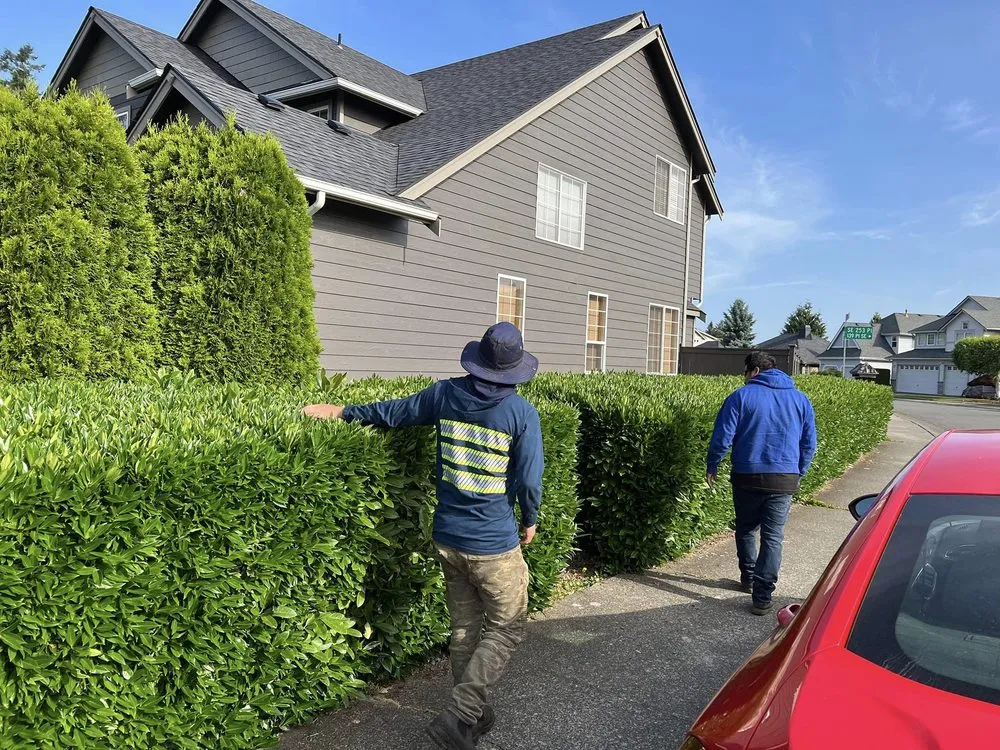 Reliable landscaping services in Puyallup, WA - Tung Nguyen Landscaping