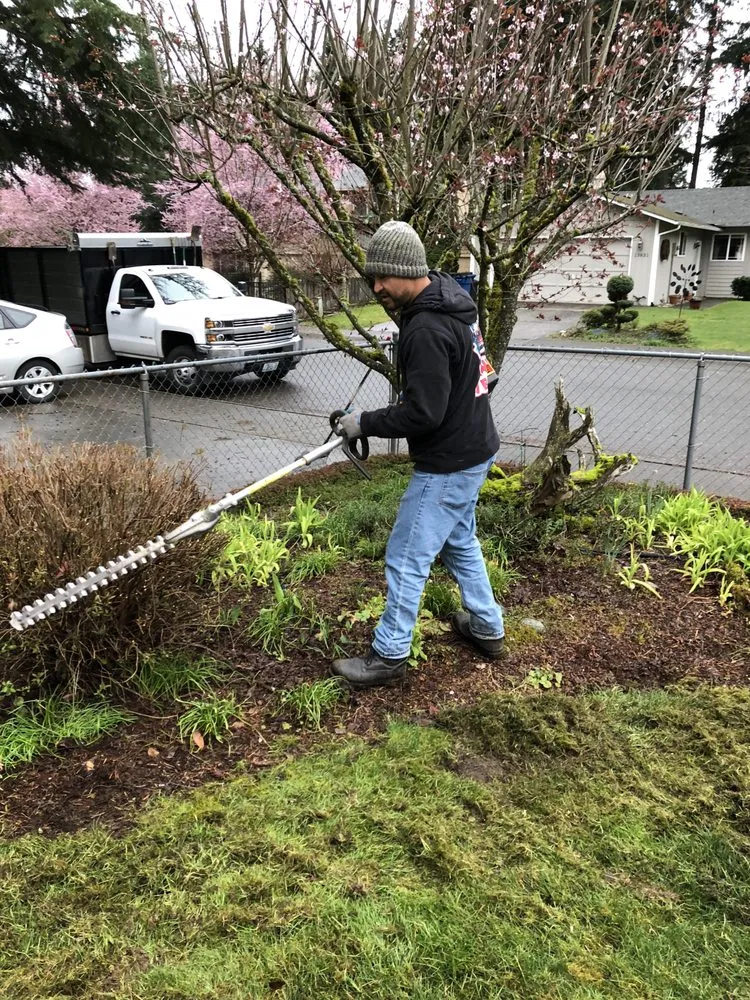 Top-rated landscape design for outdoor upgrades across Puyallup, WA - Tung Nguyen Landscaping