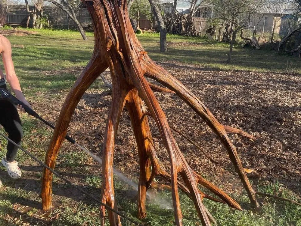 Local landscape installation for beautiful yards across New Braunfels, TX - Tunik and Carter the Sage