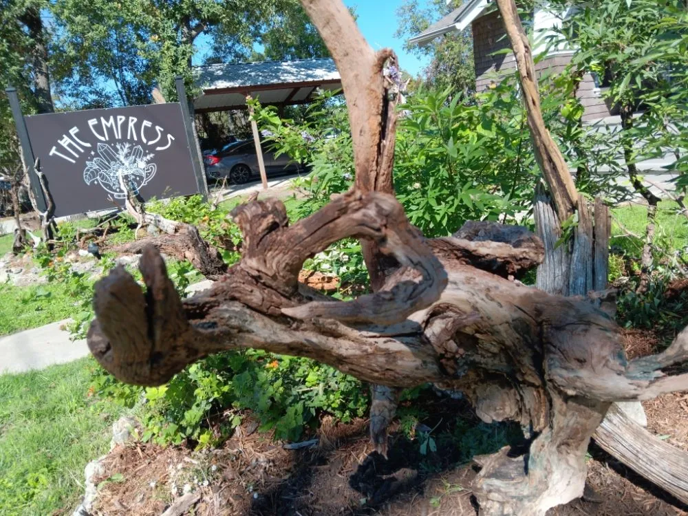 Top-rated landscape installation with custom design in New Braunfels, TX by Tunik and Carter the Sage