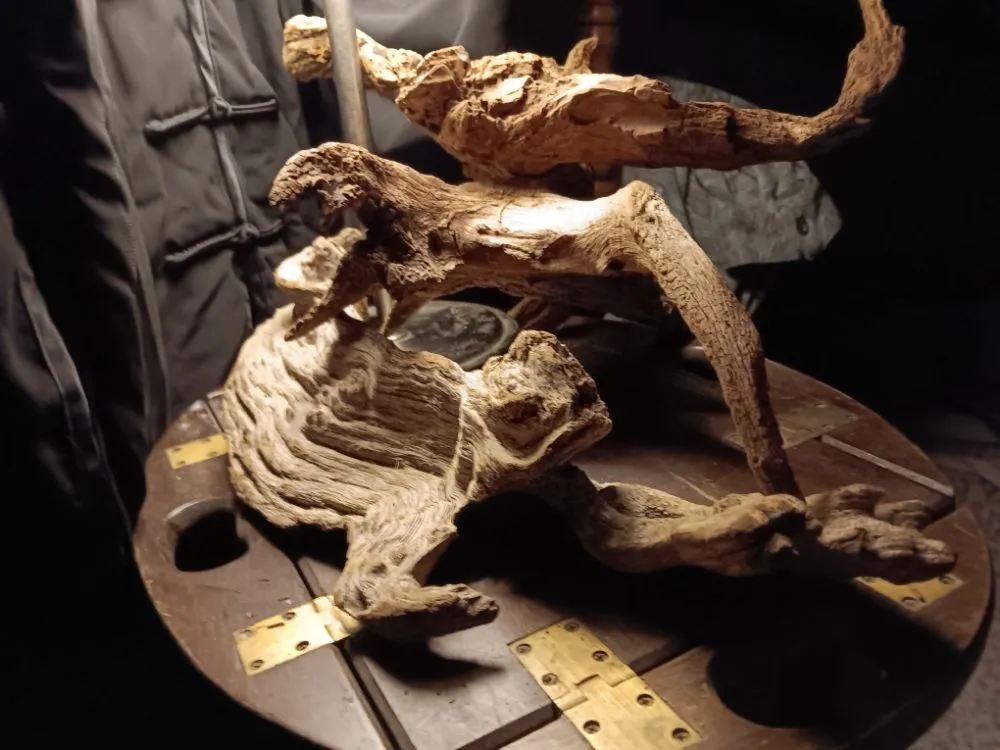 Affordable yard maintenance experts serving New Braunfels, TX - Tunik and Carter the Sage