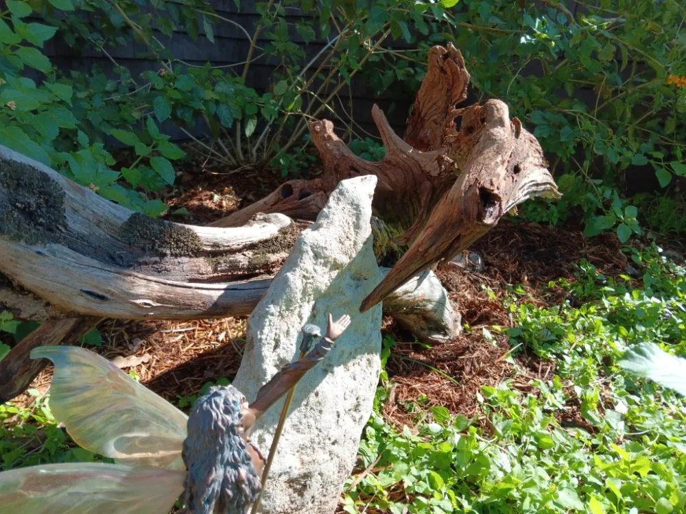 Trusted outdoor landscaping experts serving New Braunfels, TX - Tunik and Carter the Sage