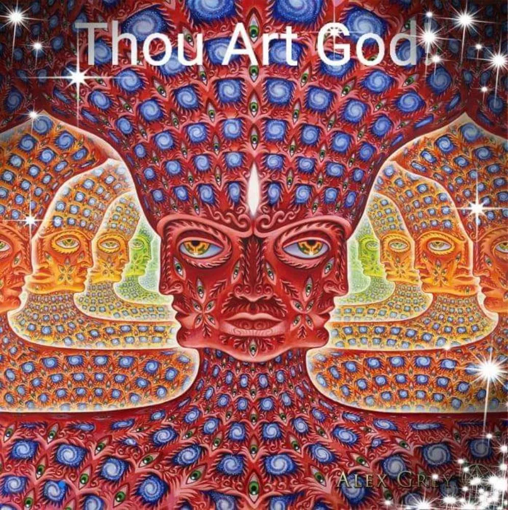 Affordable landscape design in New Braunfels, TX - Tunik and Carter the Sage