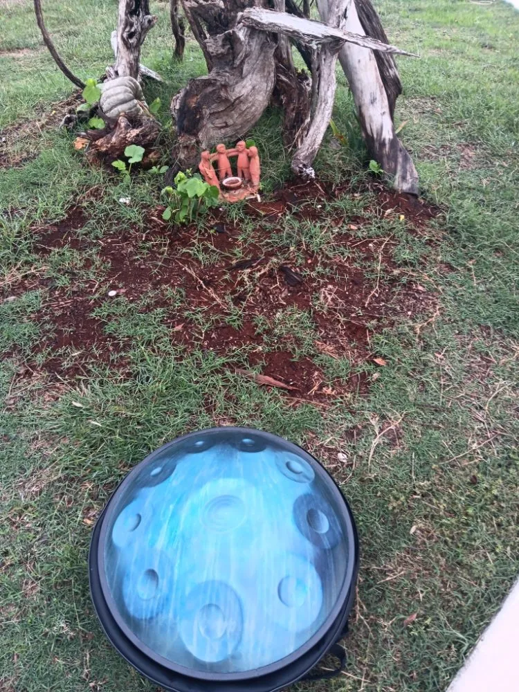 Professional garden landscaping in New Braunfels, TX - Tunik and Carter the Sage