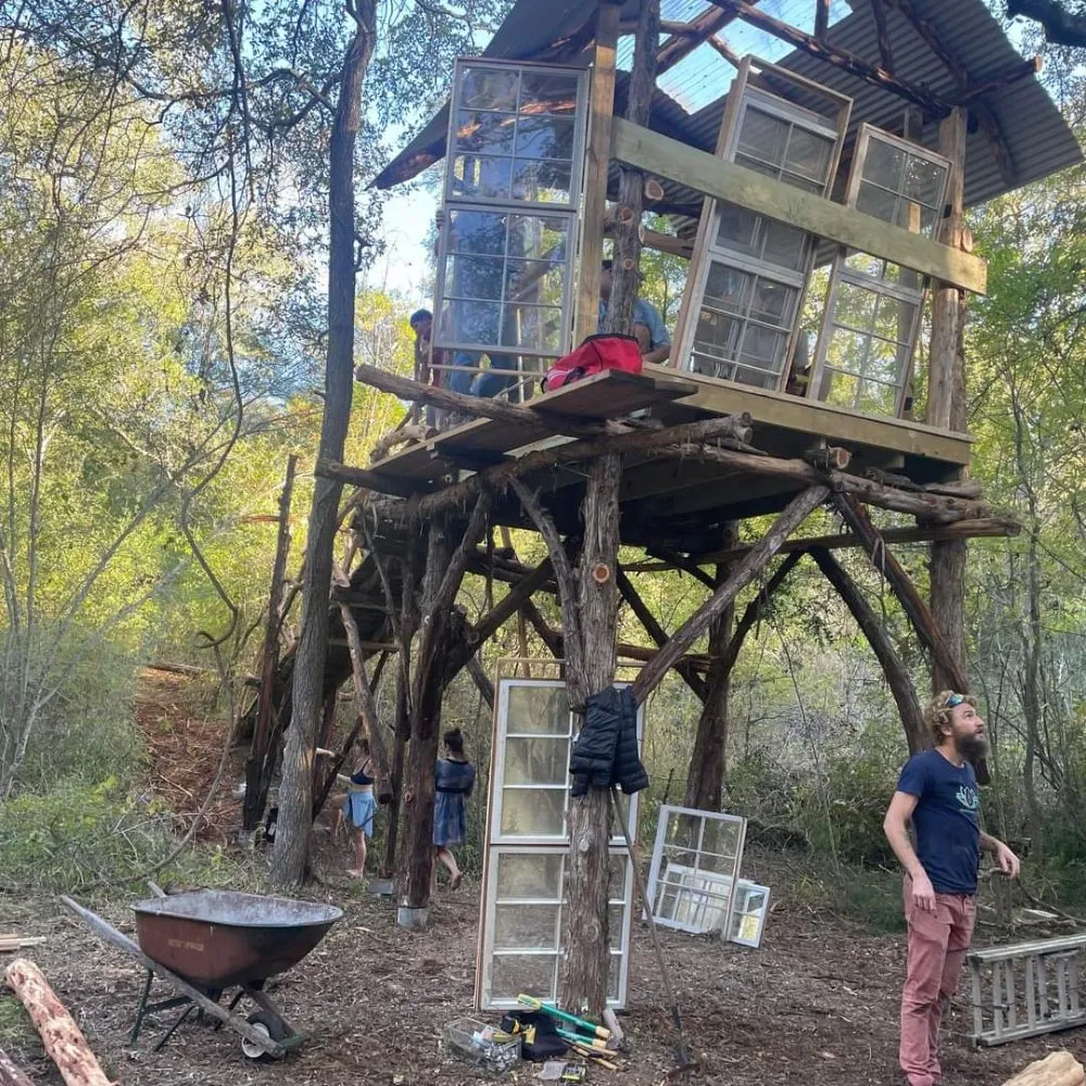 Top-rated landscape design for year-round maintenance across New Braunfels, TX - Tunik and Carter the Sage